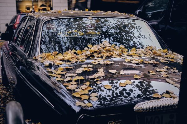 เหตุผลที่ต้องล้างรถบ่อยเมื่อถึงหน้าฝน