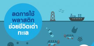 ลดการใช้พลาสติก ช่วยชีวิตเต่าทะเล