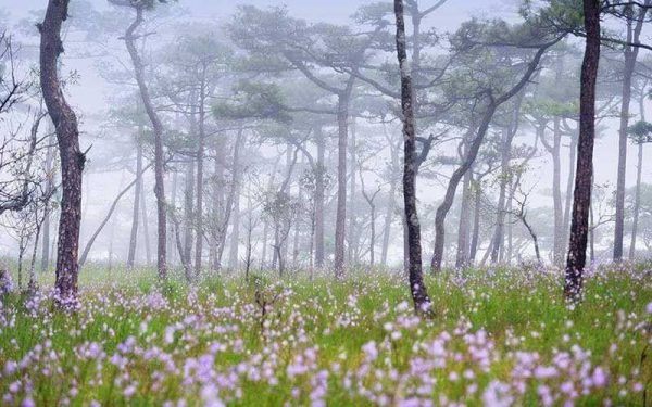 10 ที่เที่ยวหน้าฝน สัมผัสธรรมชาติสุดฟินในเมืองไทย