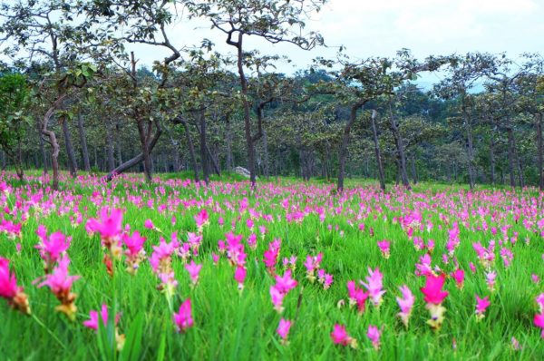 10 ที่เที่ยวหน้าฝน สัมผัสธรรมชาติสุดฟินในเมืองไทย