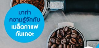 มาทำความรู้จักกับเมล็ดกาแฟกันเถอะ