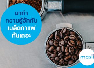 มาทำความรู้จักกับเมล็ดกาแฟกันเถอะ