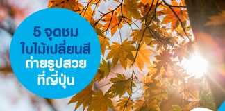 5 จุดชมใบไม้เปลี่ยนสี ถ่ายรูปสวยที่ญี่ปุ่น