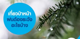 เที่ยวป่าหน้าฝนต้องระวังอะไรบ้าง