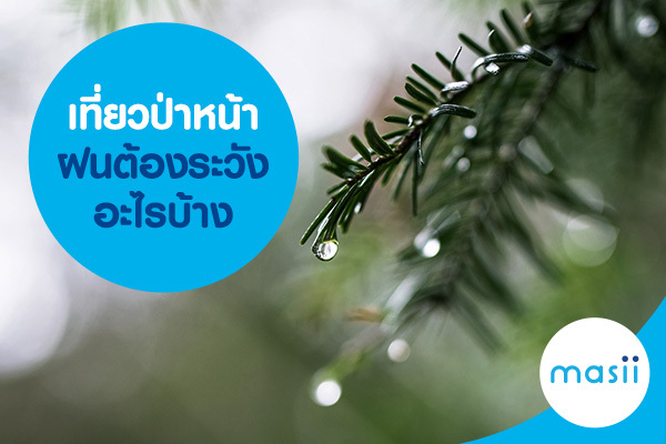 เที่ยวป่าหน้าฝนต้องระวังอะไรบ้าง เที่ยวป่าหน้าฝนต้องระวังอะไรบ้าง