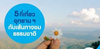 5 ที่เที่ยวอุทยานฯ กับเส้นทางชมธรรมชาติ