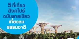 5 ที่เที่ยวสิงคโปร์ ฉบับสายเขียว เที่ยวชมธรรมชาติ