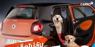 เคล็ดไม่ลับ กำจัดขนสัตว์ในรถ กับ Carro