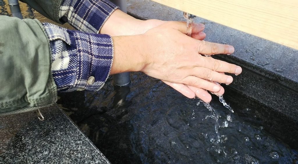 เคล็ดไม่ลับ กำจัดขนสัตว์ในรถ กับ Carro