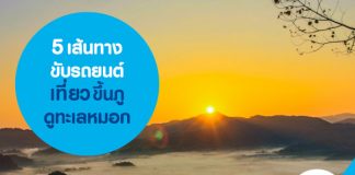 5 เส้นทางขับรถยนต์เที่ยว ขึ้นภู ดูทะเลหมอก