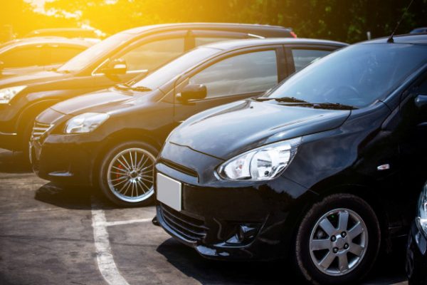 งูเข้ารถ ทำไงดี มีวิธีป้องกันอย่างไรบ้าง