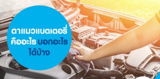 ตาแมวแบตเตอรี่ คืออะไร บอกอะไรได้บ้าง