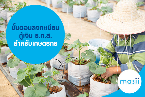 ขั้นตอนลงทะเบียน กู้เงิน ธ.ก.ส. สำหรับเกษตรกร ขั้นตอนลงทะเบียน กู้เงิน ธ.ก.ส. สำหรับเกษตรกร