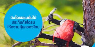 บินโดรนชนต้นไม้ ประกันภัยโดรน ให้ความคุ้มครองไหม 