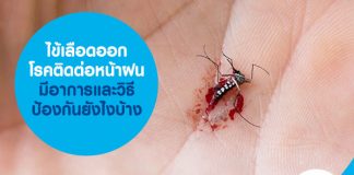 ไข้เลือดออก โรคติดต่อหน้าฝน มีอาการ และวิธีป้องกันยังไงบ้าง
