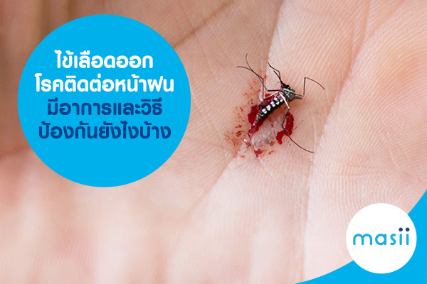 ไข้เลือดออก โรคติดต่อหน้าฝน มีอาการ และวิธีป้องกันยังไงบ้าง ไข้เลือดออก โรคติดต่อหน้าฝน มีอาการ และวิธีป้องกันยังไงบ้าง