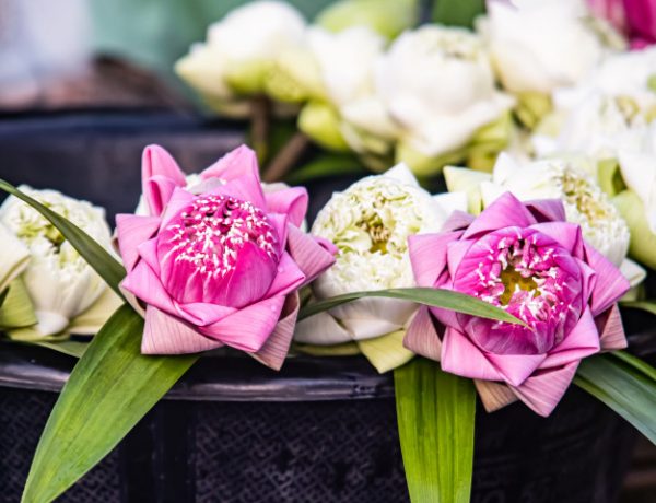 วันอาสาฬบูชา masii ชวนทำความดีสไตล์ New Normal