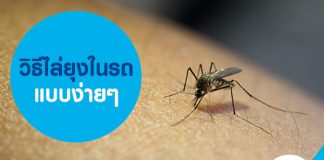 วิธีไล่ยุงในรถแบบง่ายๆ