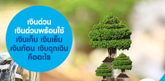 เงินด่วน เงินด่วนพร้อมใช้ เงินเก็บ เงินเย็น เงินก้อน เงินฉุกเฉิน คืออะไร