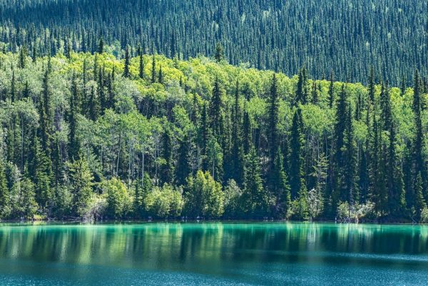 วันสิ่งแวดล้อมโลก รักษ์โลก กับ masii