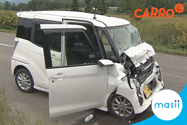 เมื่อสัตว์วิ่งตัดหน้ารถกะทันหัน ทำไมถึงต้องชน ห้ามหลบ!