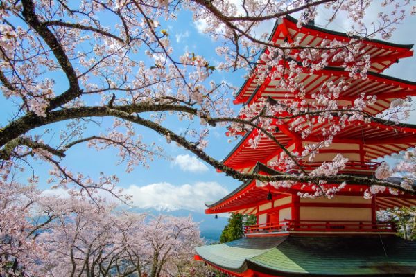 สมัครบัตรเครดิตอะไรดี ปี 2563