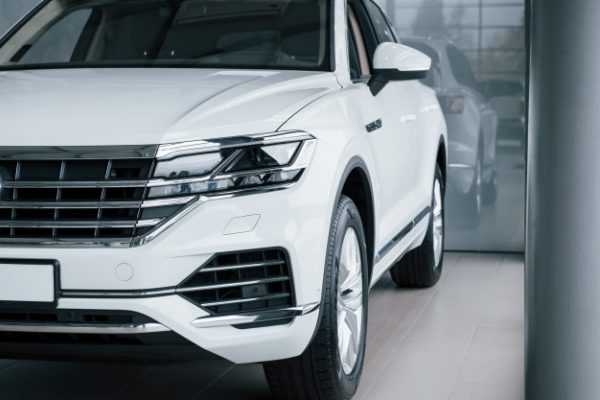 งูเข้ารถ ทำไงดี มีวิธีป้องกันอย่างไรบ้าง