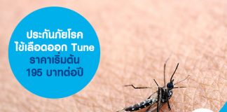 ประกันภัยโรคไข้เลือดออก Tune ราคาเริ่มต้น 195 บาทต่อปี