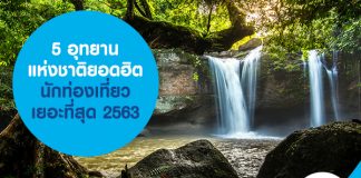 5 อุทยานแห่งชาติยอดฮิต นักท่องเที่ยวเยอะที่สุด 2563