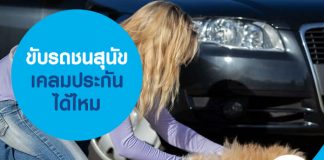 ขับรถชนสุนัข เคลมประกันได้ไหม