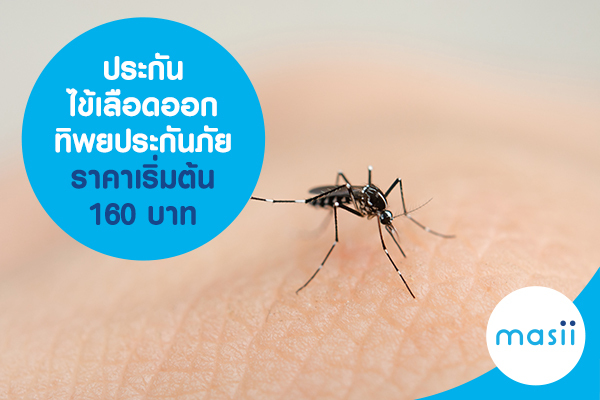 ประกันไข้เลือดออก ทิพยประกันภัย ราคาเริ่มต้น 160 บาท ประกันไข้เลือดออก ทิพยประกันภัย ราคาเริ่มต้น 160 บาท