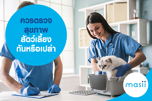 ควรตรวจสุขภาพสัตว์เลี้ยง กันหรือเปล่า ควรตรวจสุขภาพสัตว์เลี้ยง กันหรือเปล่า