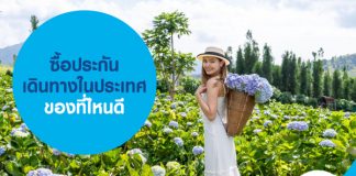 ซื้อประกันเดินทางในประเทศ ที่ไหนดี เบี้ยไม่แพง คุ้มครองครอบคลุม