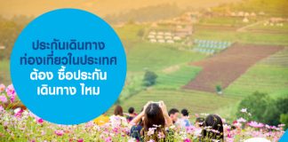 ประกันเดินทาง ท่องเที่ยวในประเทศ ต้อง ซื้อประกันเดินทาง ไหม