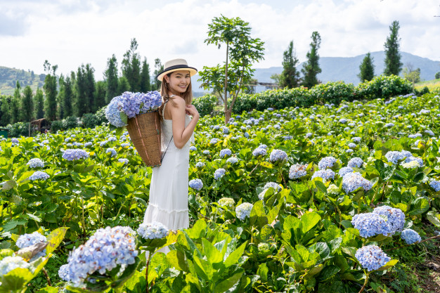 ประกันเดินทาง ท่องเที่ยวในประเทศ ต้อง ซื้อประกันเดินทาง ไหม
