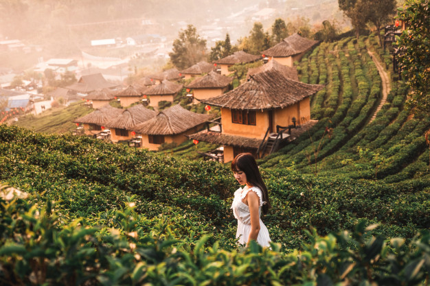 ประกันเดินทาง เที่ยวไทย เที่ยวในประเทศ มีความจำเป็น หรือไม่