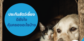 ประกันสัตว์เลี้ยง ดียังไง คุ้มครองอะไรบ้าง