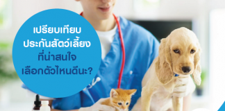 เปรียบเทียบ ประกันสัตว์เลี้ยง ที่น่าสนใจ เลือกตัวไหนดีนะ?