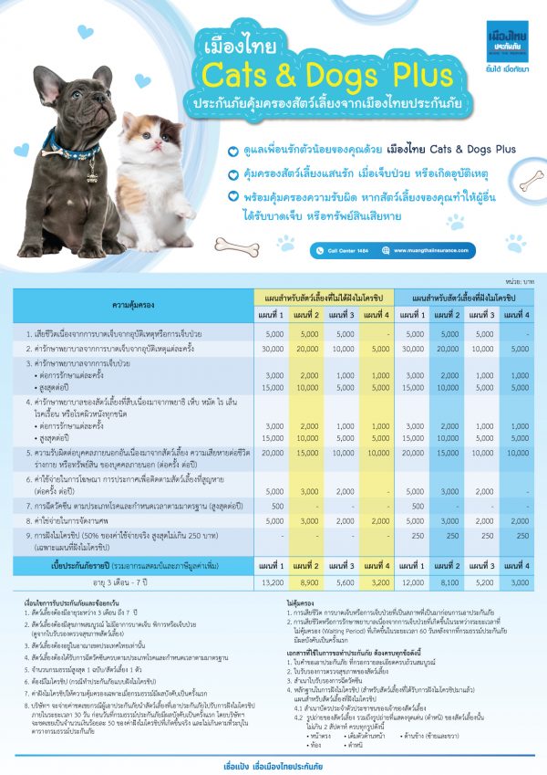 ประกันสัตว์เลี้ยง ดียังไง คุ้มครองอะไรบ้าง