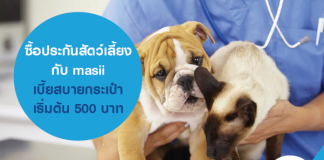 ซื้อประกันสัตว์เลี้ยง กับ masii เบี้ยสบายกระเป๋า เริ่มต้น 500 บาท