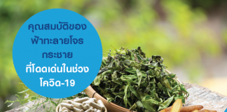 คุุณสมบัติของฟ้าทะลายโจร กระชาย ที่โดดเด่นในช่วงโควิด-19