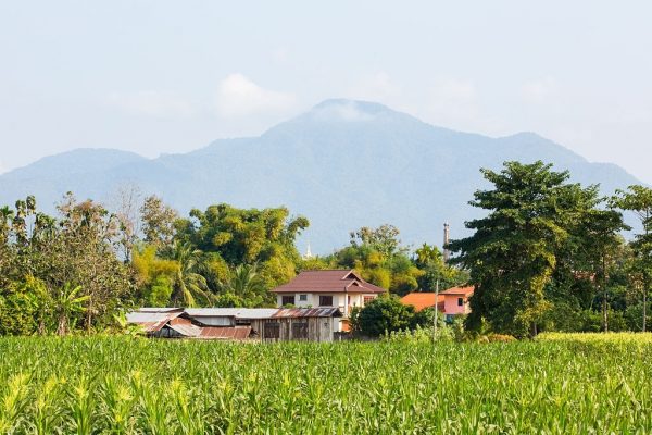 "ที่ดินคือชีวิต" สำรวจออกโฉนดที่ดิน 70 จังหวัด สร้างหลักประกันชีวิต
