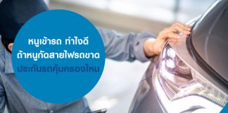 หนูเข้ารถ ทำไงดี และถ้าหนูกัดสายไฟรถขาด ประกันรถคุ้มครองไหม