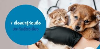 7 เรื่องน่ารู้ก่อนซื้อประกันสัตว์เลี้ยง