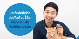 ประกันสัตว์เลี้ยง ประกันเพื่อนซี้สี่ขา ที่เราควรทำให้สัตว์เลี้ยงแสนรัก