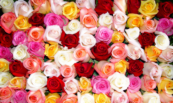 วาเลนไทน์ สินเชื่อส่วนบุคคล https://masii.co.th/thai/loan