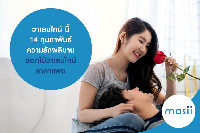 วาเลนไทน์ นี้ 14 กุมภาพันธ์ ความรักผลิบาน ดอกไม้วาเลนไทน์ ราคาแพง วาเลนไทน์ นี้ 14 กุมภาพันธ์ ความรักผลิบาน ดอกไม้วาเลนไทน์ ราคาแพง