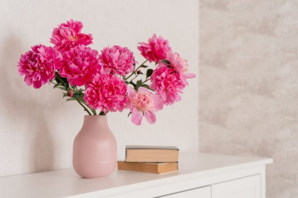 http://www.istockphoto.com/photo/big-bouquet-of-peonies-in-a-pink-vase-in-a-bright-room-are-on-a-white-chest-of-gm1281669035-379642092