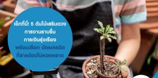 เช็กที่นี่! 5 ต้นไม้เสริมดวง การงานราบรื่น การเงินรุ่งเรือง พร้อมเลือก บัตรเครดิต ที่สายช้อปไม่ควรพลาด