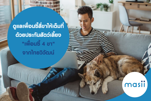 ดูแลเพื่อนซี้สี่ขา ให้เต็มที่ ด้วยประกันสัตว์เลี้ยง ดูแลเพื่อนซี้สี่ขา ให้เต็มที่ ด้วยประกันสัตว์เลี้ยง